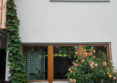 Maler Fassade Ausbau